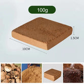 Fibre de coco biologique COCO pour plantes