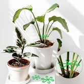 🌿Ensemble de support de tige de plante