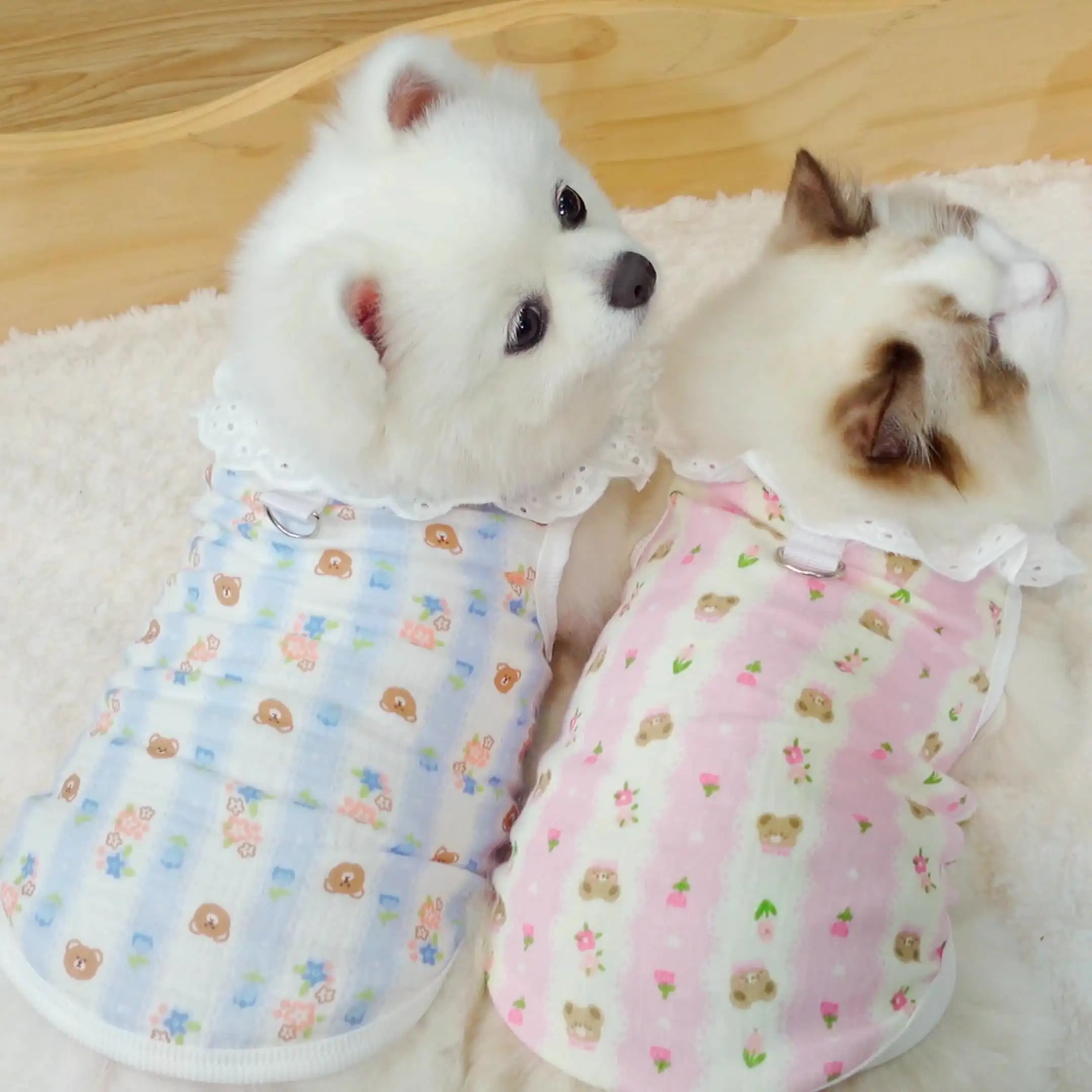 Pet pure cotton yarn breathable dog cat clothes to prevent hair loss New HomeGoods