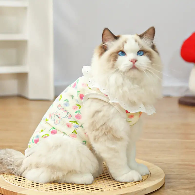 Pet pure cotton yarn breathable dog cat clothes to prevent hair loss New HomeGoods