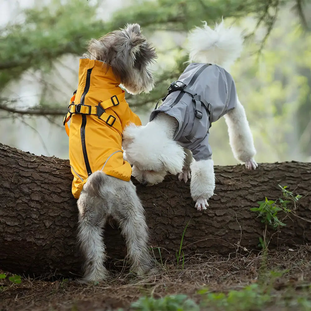 New Pet PU Raincoat Small and Medium Dog Night Reflective New HomeGoods