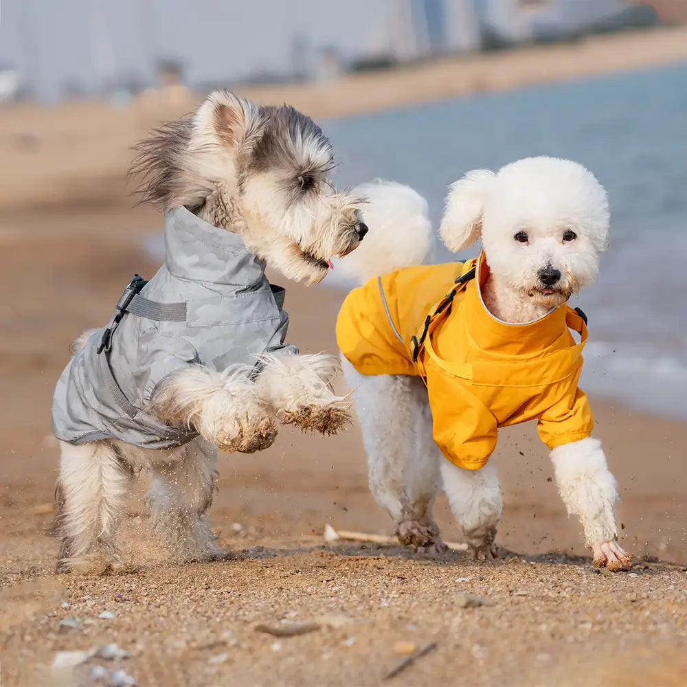 New Pet PU Raincoat Small and Medium Dog Night Reflective New HomeGoods