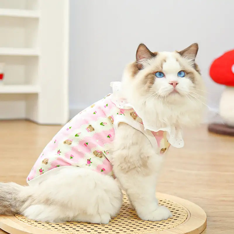Pet pure cotton yarn breathable dog cat clothes to prevent hair loss New HomeGoods