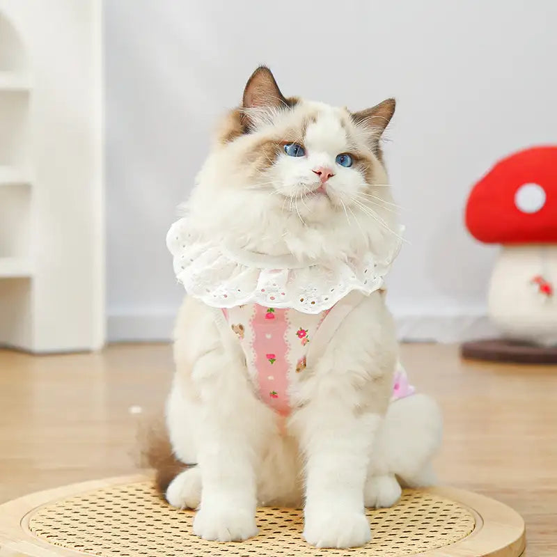 Pet pure cotton yarn breathable dog cat clothes to prevent hair loss New HomeGoods