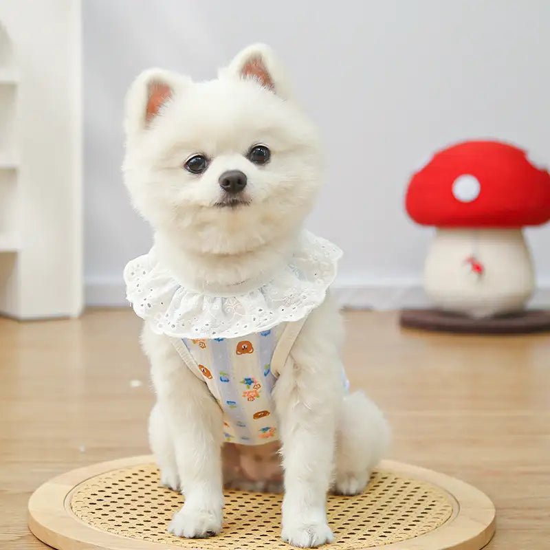 Pet pure cotton yarn breathable dog cat clothes to prevent hair loss New HomeGoods