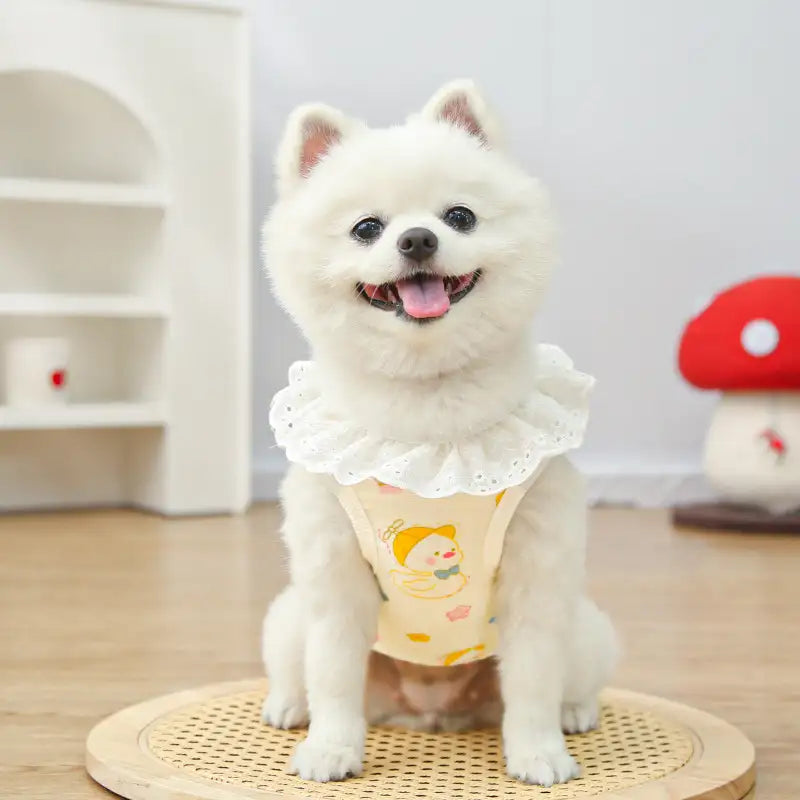 Pet pure cotton yarn breathable dog cat clothes to prevent hair loss New HomeGoods