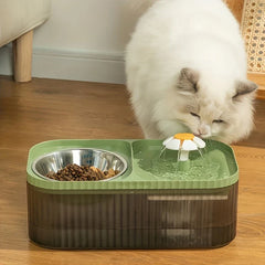 2-in-1 Pet Water Fountain and Food Bowl Set
