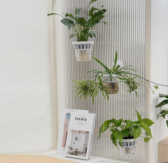 Planteur hydroponique à ventouse sans perçage