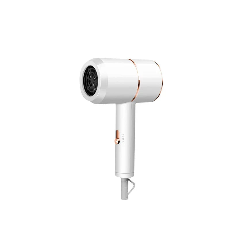 8812 Professional Hair Dryer Blow Dryer