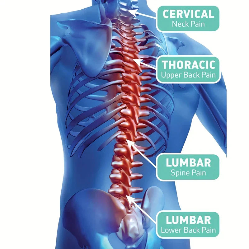 Adjustable Back Brace Lumbar Support Belt
