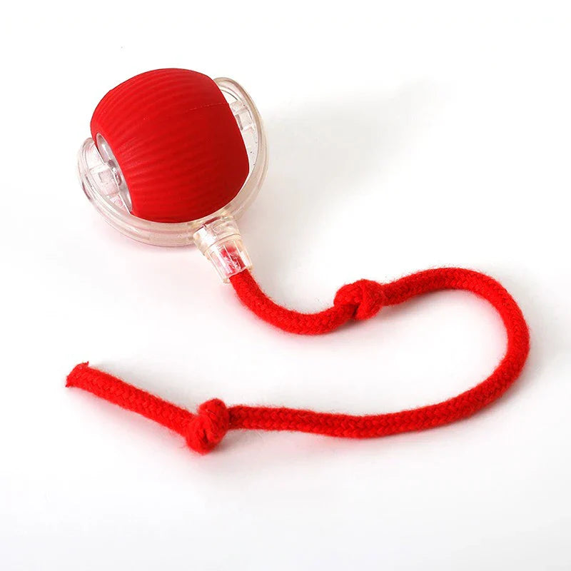 Automatic Moving Kitten Teaser Toy Vehicle