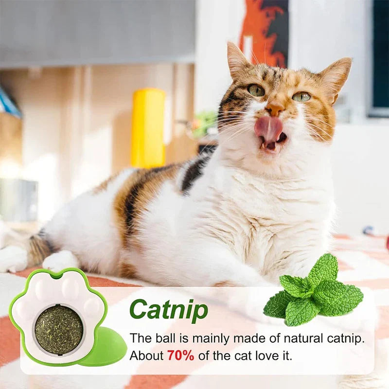 Cat Claw Catnip Ball Toy Wall Mount