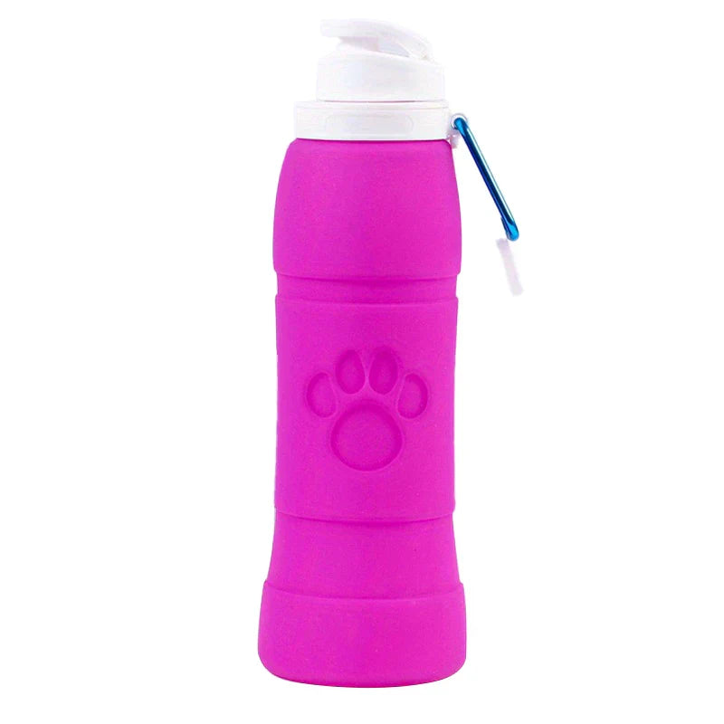 Collapsible Silicone Water Bottle Leakproof Travel