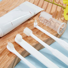 Combination Travel Folding Toothbrush Set