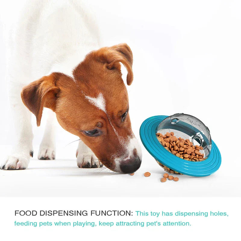 Dog Planet Themed Pet Chew Toy Ball