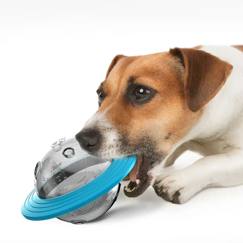 Dog Planet Themed Pet Chew Toy Ball
