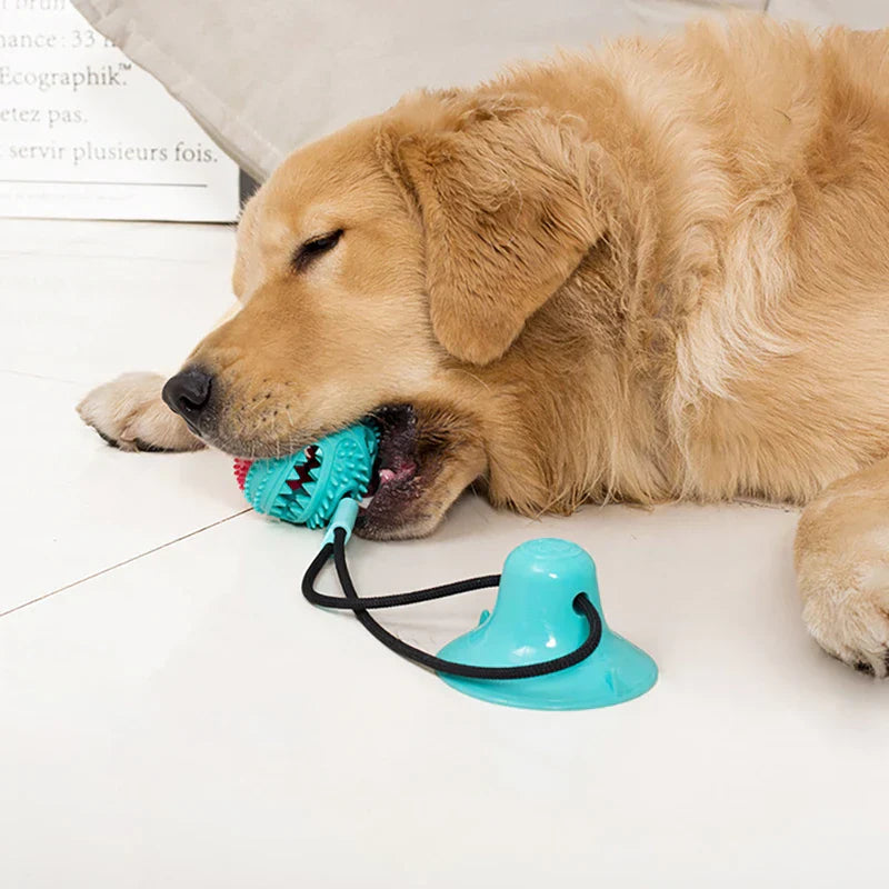 Dog Toy Chew Squeaky Interactive Puzzle Ball