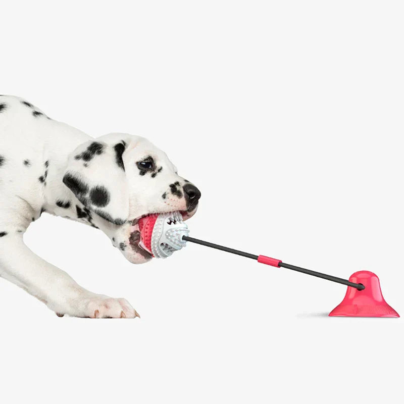 Dog Toy Chew Squeaky Interactive Puzzle Ball