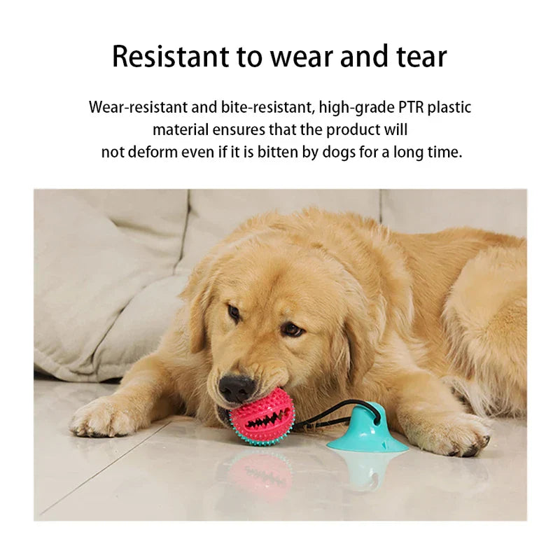 Dog Toy Chew Squeaky Interactive Puzzle Ball