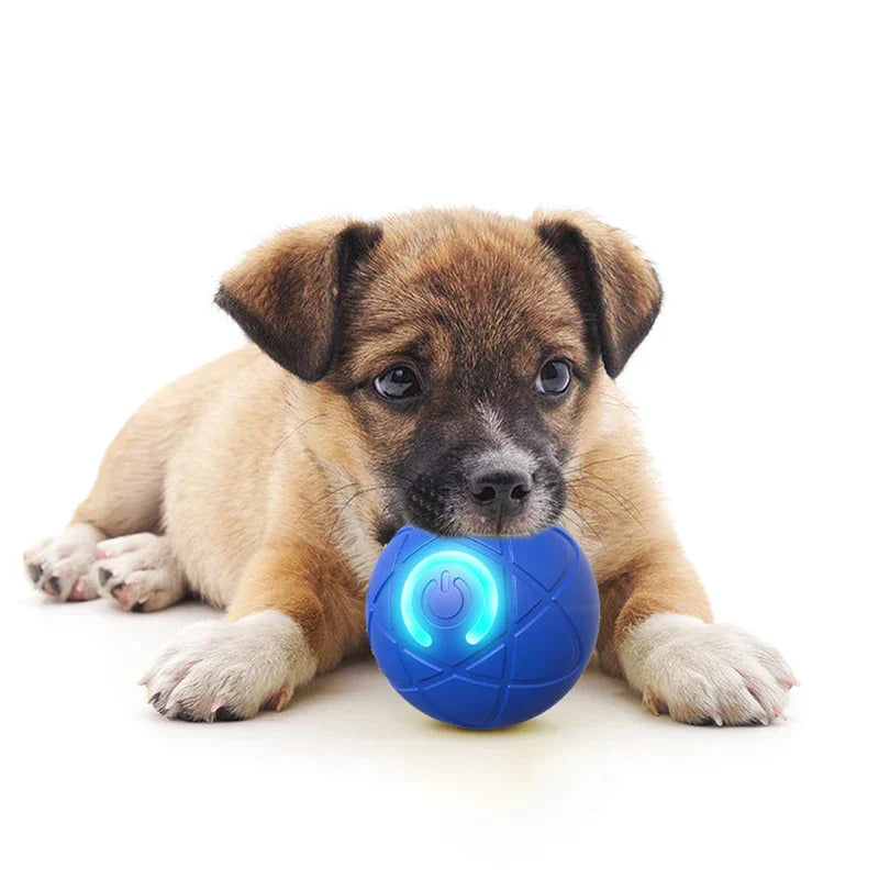 Interactive Gravity Bouncing Pet Ball Toy