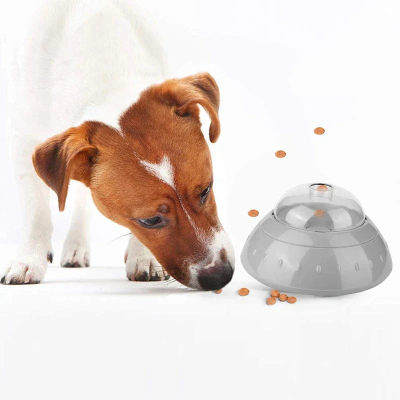 Interactive Slow Feeder Pet Bowl
