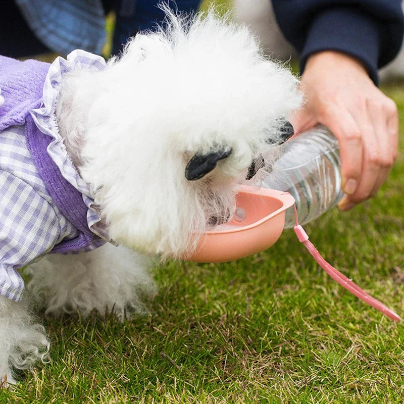 Mini Pet Travel Drinking Water Bowl