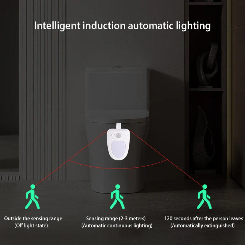 Motion Sensor Toilet Bowl Night Light