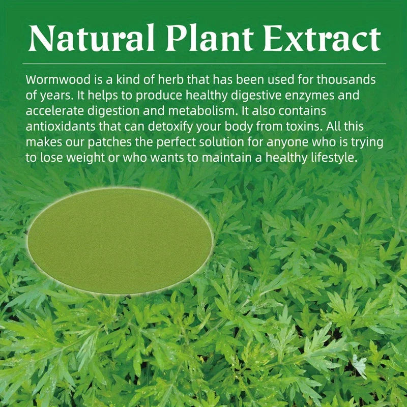 Mugwort Herbal Slimming Detox Waist Patch