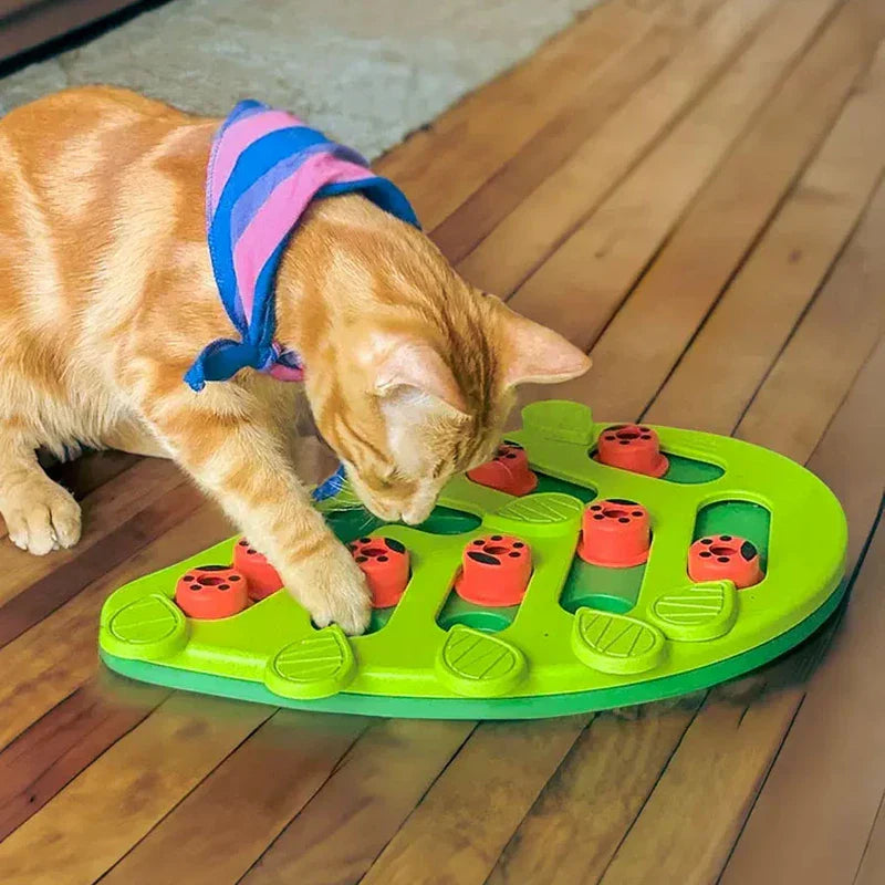 New Cat Slow Feeder Puzzle Bowl Dish