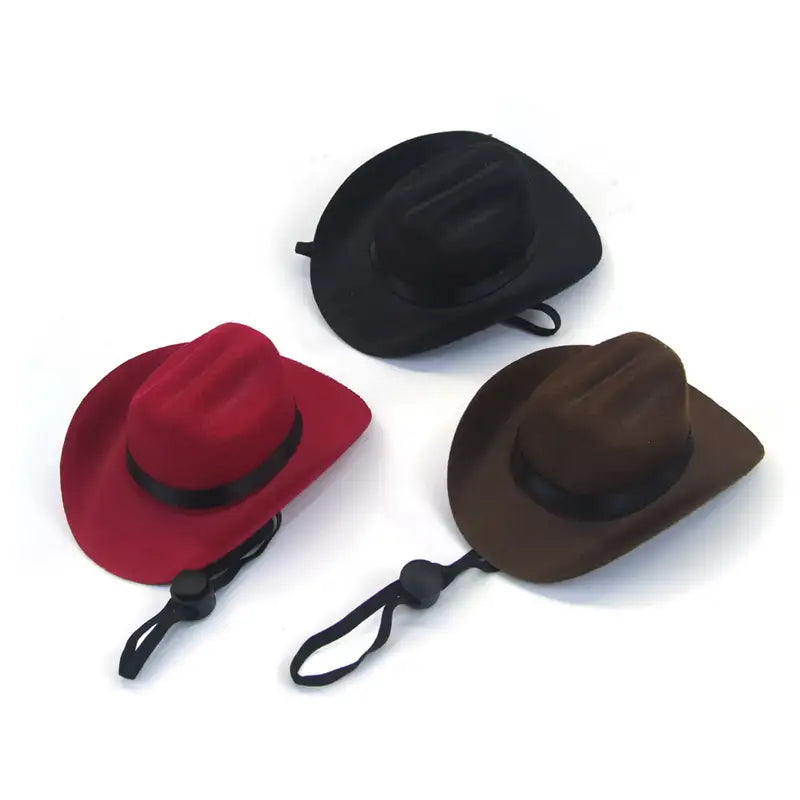 Cat & Dog Pet Western Cowboy Hat Vintage Triangle Scarf New HomeGoods