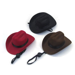Cat & Dog Pet Western Cowboy Hat Vintage Triangle Scarf New HomeGoods