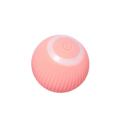 Pet Chew Toy Ball Interactive