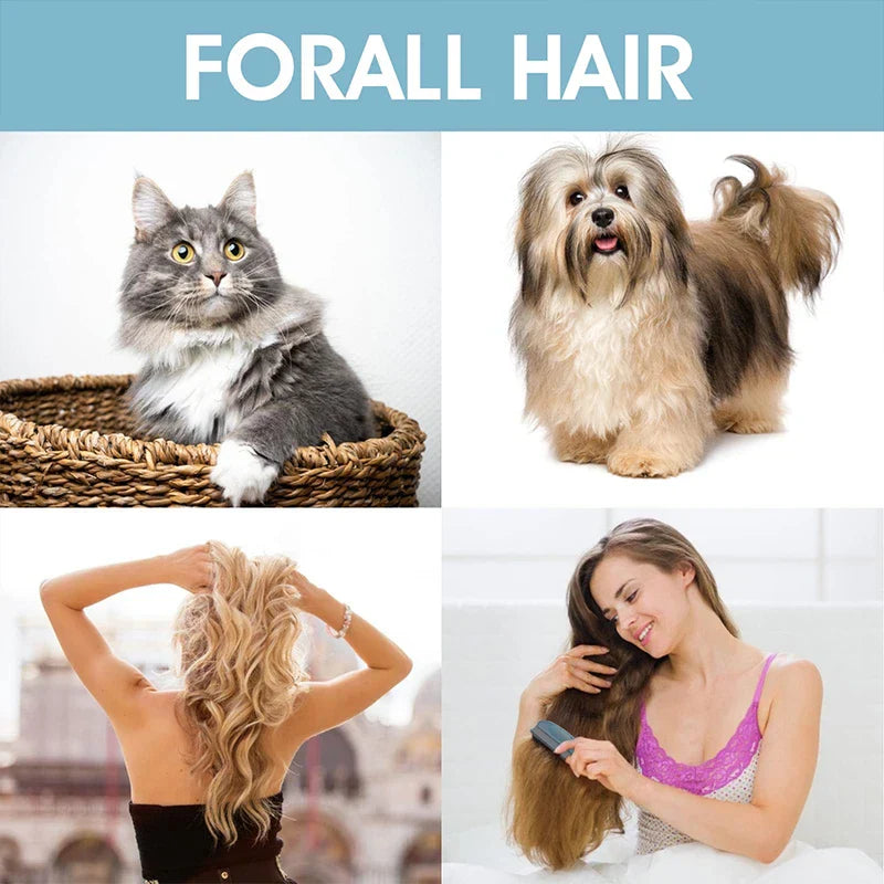 Pet Shell Design Grooming Brush Comb