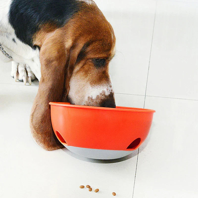 Pet Slow Feeder Puzzle Bowl Dish