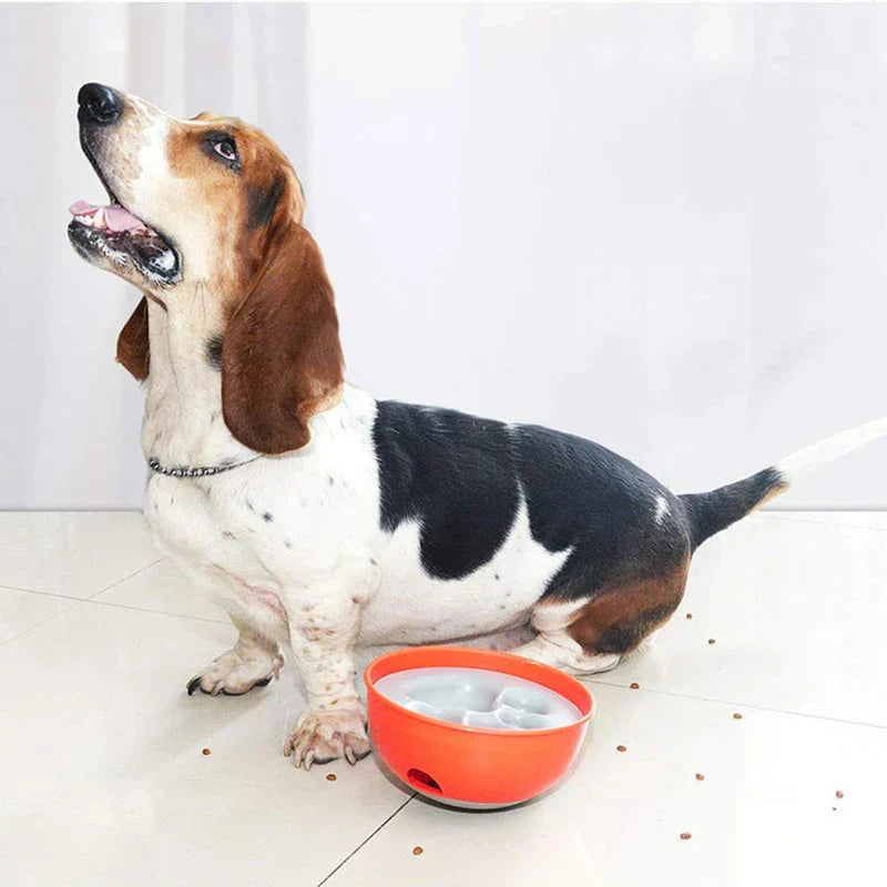 Pet Slow Feeder Puzzle Bowl Dish