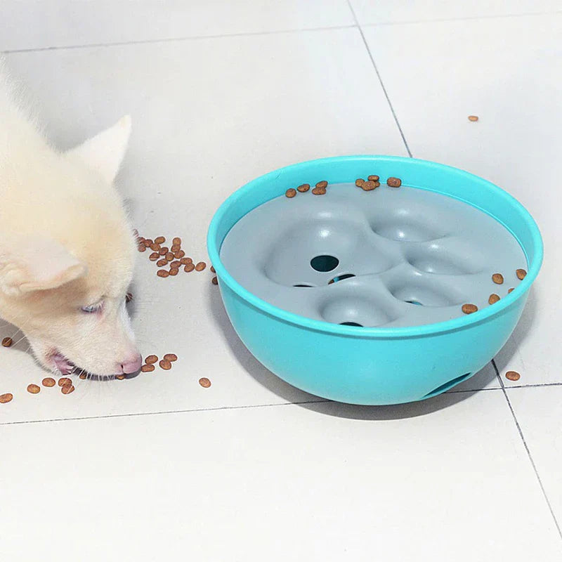 Pet Slow Feeder Puzzle Bowl Dish