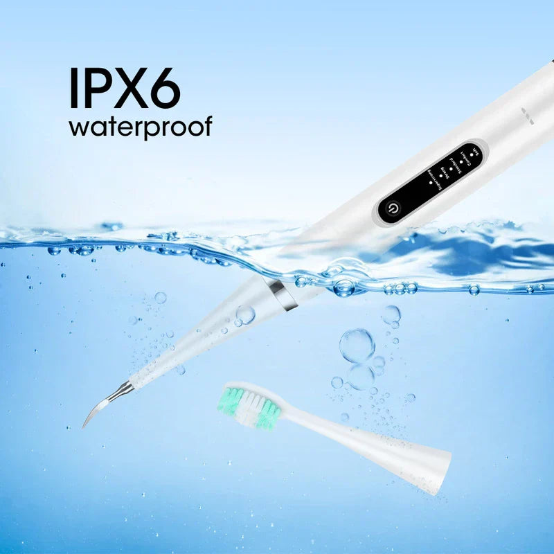 Rechargeable Sonic Electric Toothbrush