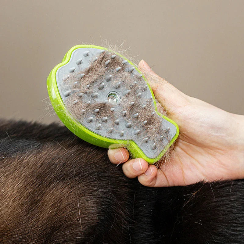 Refillable Spray Cleaning Brush Tool