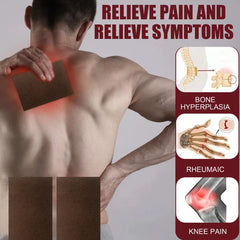 Tiger Balm Medicated Pain Patch