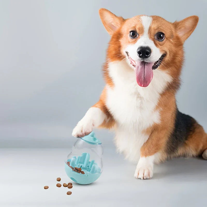 Wobbler Treat Dispensing Interactive Pet Toy
