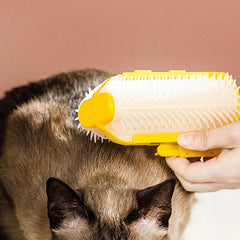 Wiederverwendbarer Möbel-Tierhaar-Flusenentferner