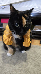 Déguisement drôle de bras musclés pour chat : accessoire pour animal imprimé en 3D