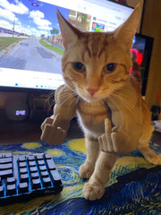 Déguisement drôle de bras musclés pour chat : accessoire pour animal imprimé en 3D