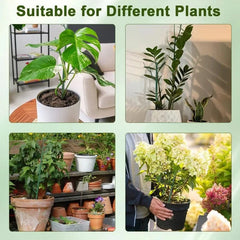 5 Pack Plant Support Stakes